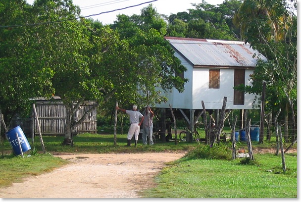 Tillett S Village Lodge Crooked Tree Wildlife Sanctuary Belize